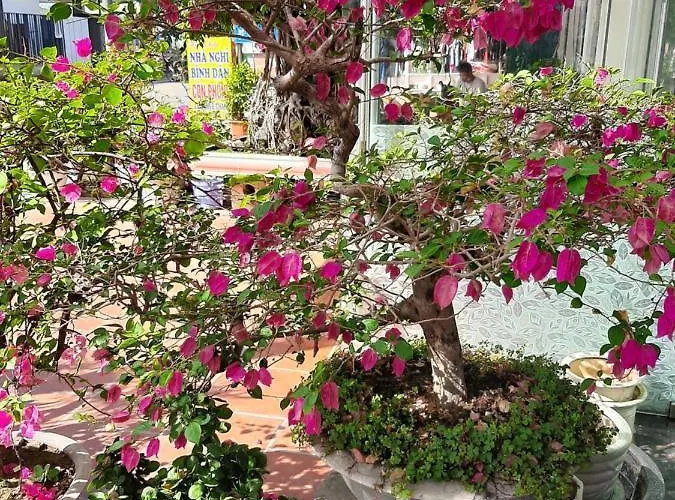 Khách sạn hẻo lánh Minh đức